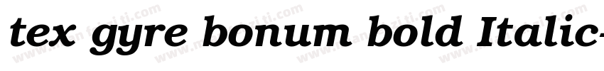 tex gyre bonum bold Italic字体转换